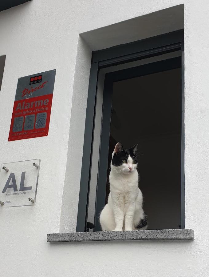 Apartament Caminhos Nos Levam Pela Ilha Ponta Delgada Zewnętrze zdjęcie