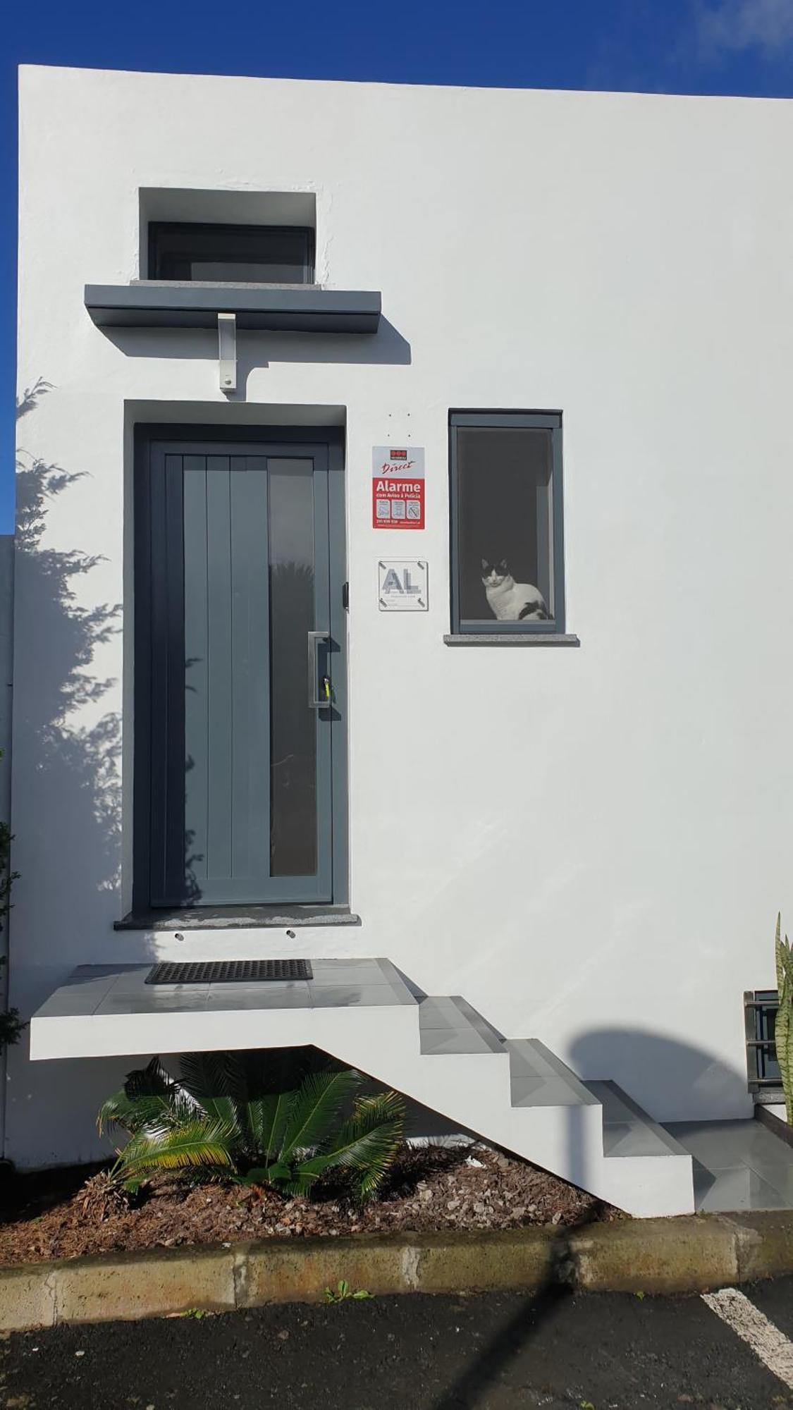 Apartament Caminhos Nos Levam Pela Ilha Ponta Delgada Zewnętrze zdjęcie